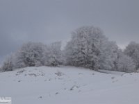 2018-01-13 M. Orsello 117